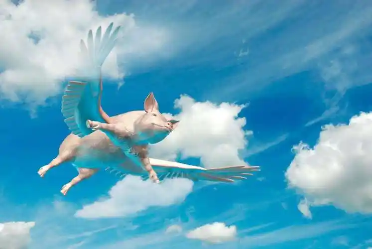 ai 传媒,一只飞在天上的猪