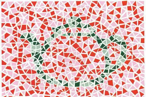 想当飞行员,这几张色觉测试图必须全部识别