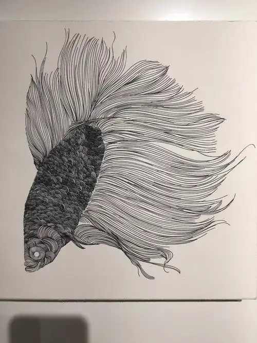 "玩线"宋小伟线条绘画艺术展