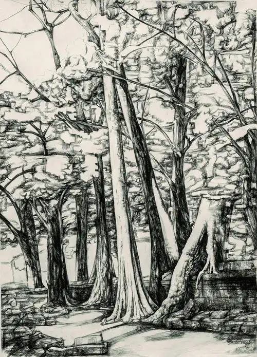 李绪洪 阳光树林(纸本素描79x108cm)