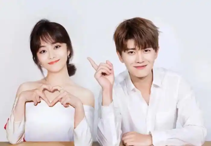 任嘉伦的妻子(难怪任嘉伦娶了聂欢当妻子)