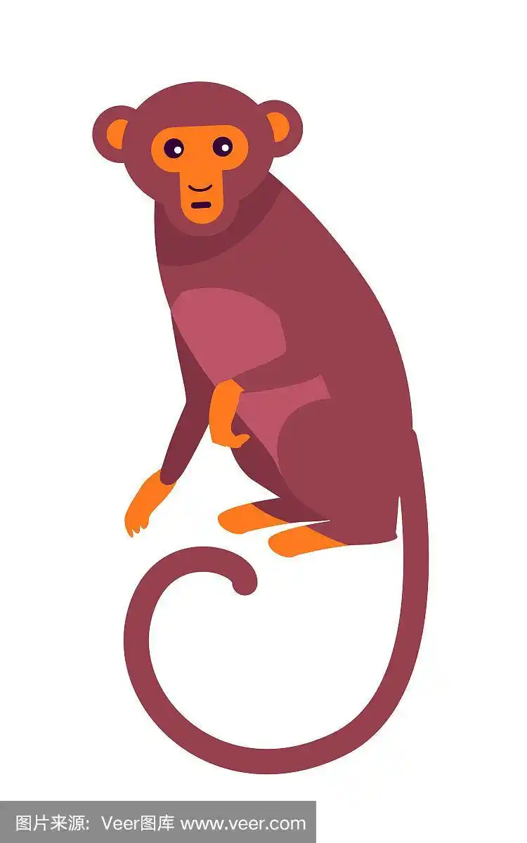 可爱的猴子与长细尾巴插图