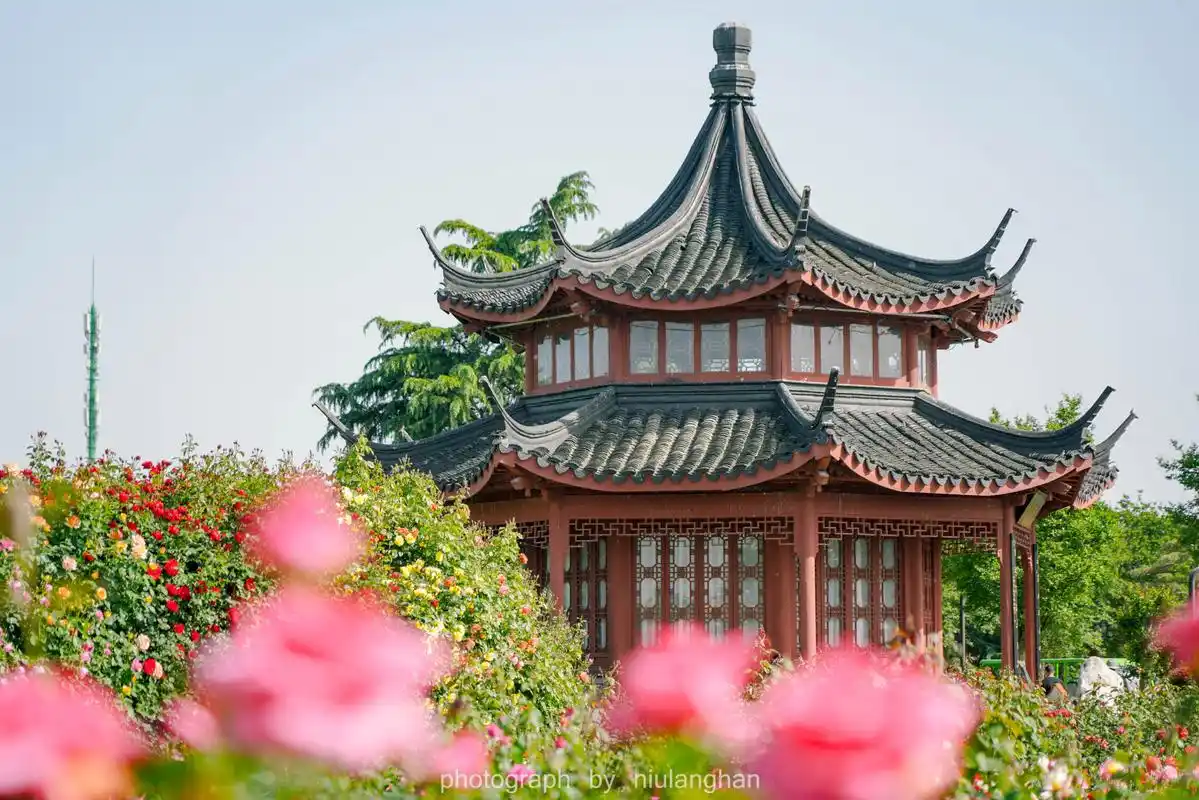 中国月季园也称为南阳月季博览园,位于北郊独山脚下,近高速口.