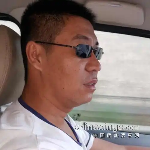 专访山西兄弟鸽舍陈元海(图)