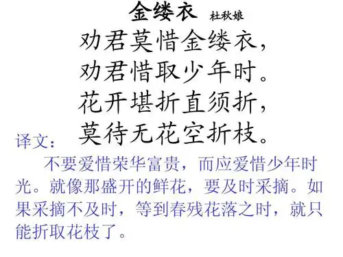 古诗《金缕衣》ppt