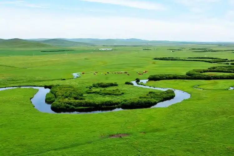 锡林郭勒大草原2