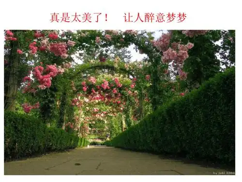 真是太美了让人醉意梦梦[文字可编辑].ppt