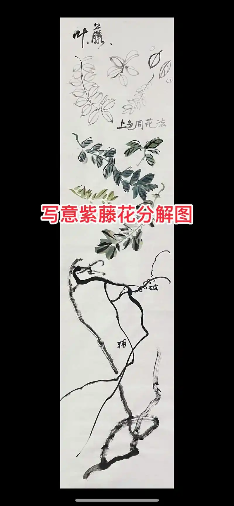 画写意紫藤花的分解图,给大家参考.#写意花鸟 #国画入门教学 - 抖音