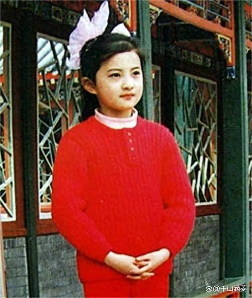 琼女郎小婉君43岁不婚不育单身住豪宅网友这是人间清醒