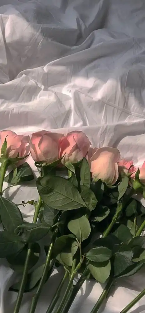 ins 摄影写真/港风小清新/聊天背景图港风壁纸你有哪些好看的港风壁纸