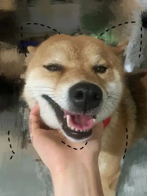 对着镜头营业笑真是翻脸如翻书