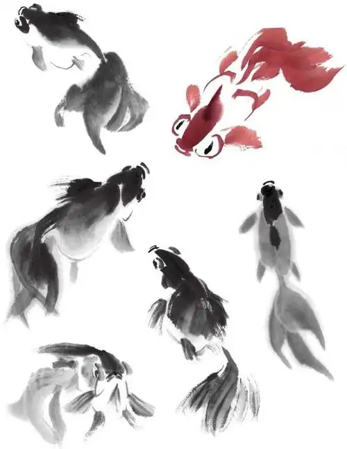 国画金鱼基本画法