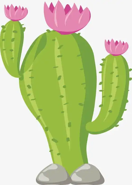 仙人掌开花矢量图