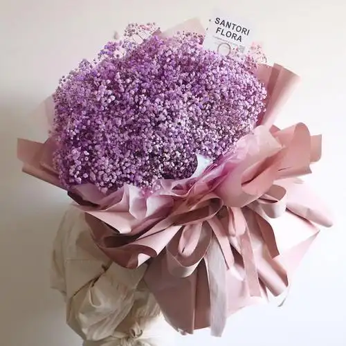 进口满天星大花束超大熊抱鲜花巨型生日花店同城速递北京配送上门