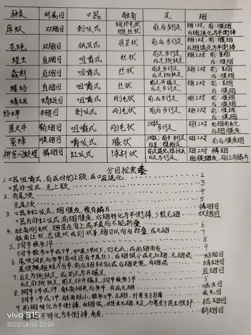 昆虫纲分目检索表,十种昆虫特征举.@小莱悦读的动态