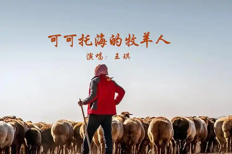 火遍全网的神曲可可托海的牧羊人