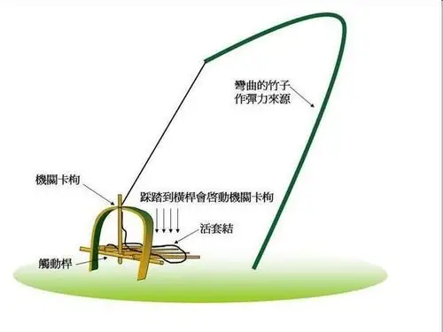 怎么做捕鸟套或陷阱
