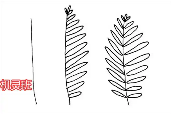 蕨类植物树叶怎么画(步骤图解)