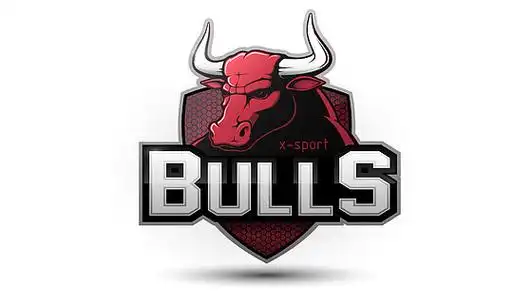 现代专业公牛标志为一个运动队.白色背景上的矢量徽标.