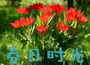 家里风景如画 - 美篇