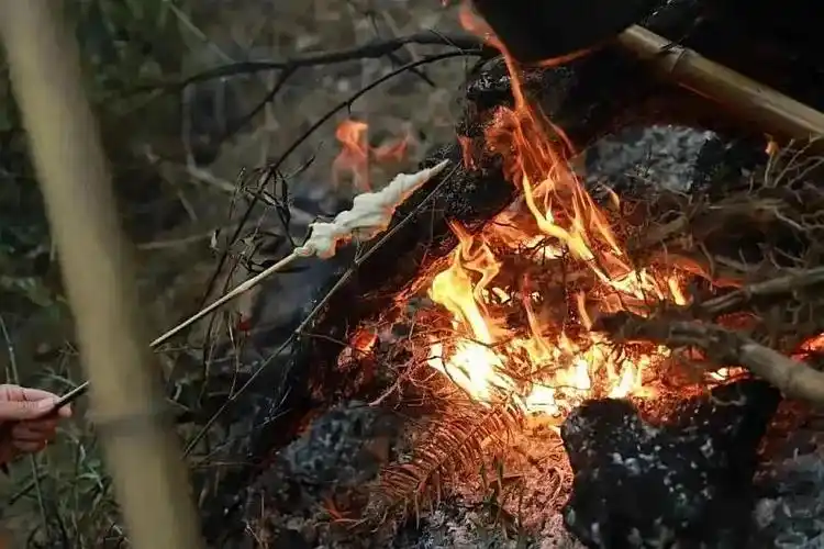 【一日营 | 独立】荒野求生营| 野外生火,荒野厨房,绳结技能,搭庇护所