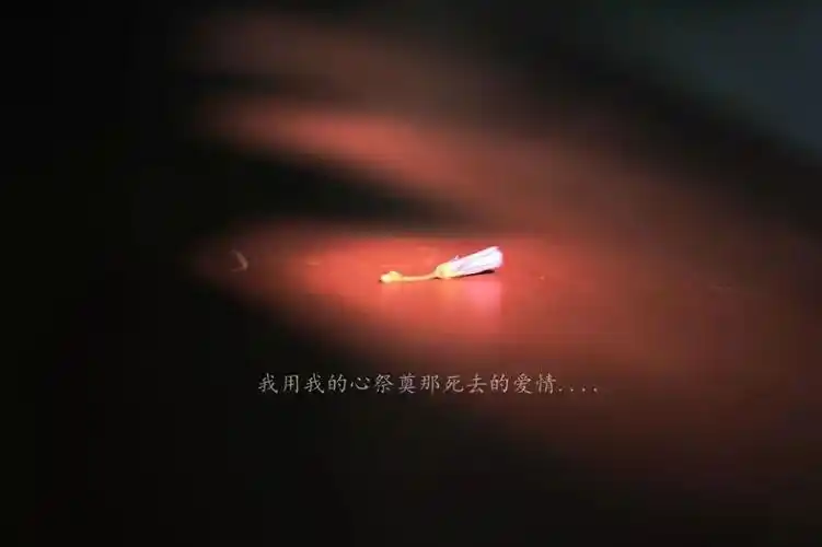 小别针的爱情故事