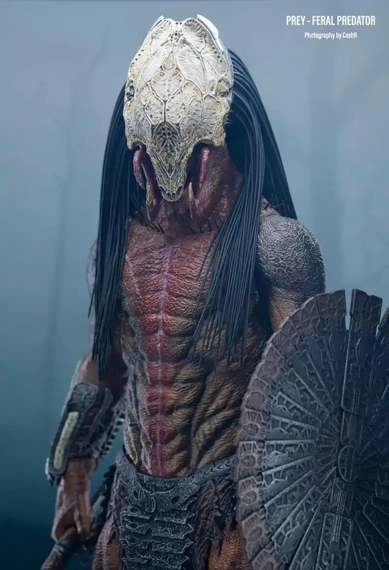 hottoys 铁血战士:狩猎 狂暴铁血.骨面铁血这次的新规