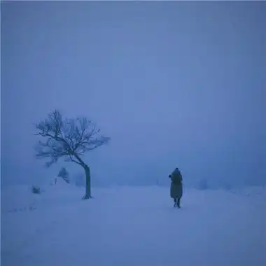 好看伤感的的风景头像唯美冬季雪景