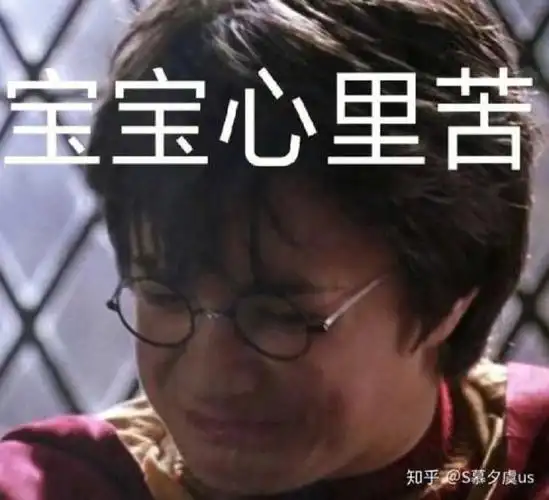 哈利波特沙雕头像