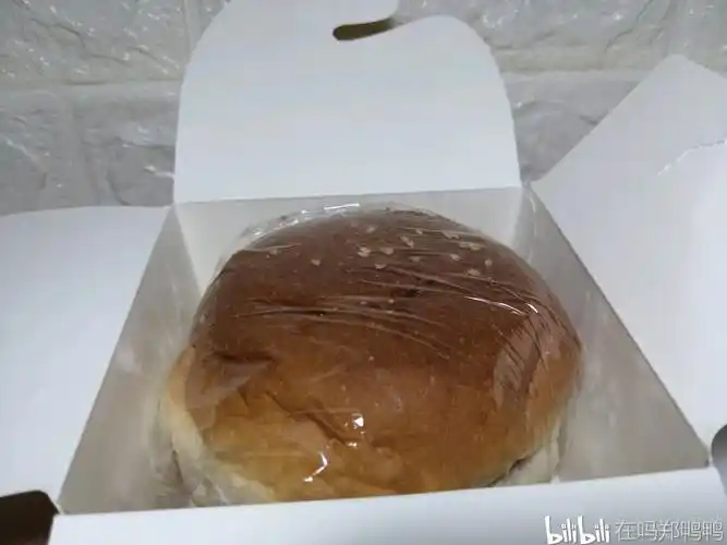 【桃李面包测评】鸡腿汉堡包