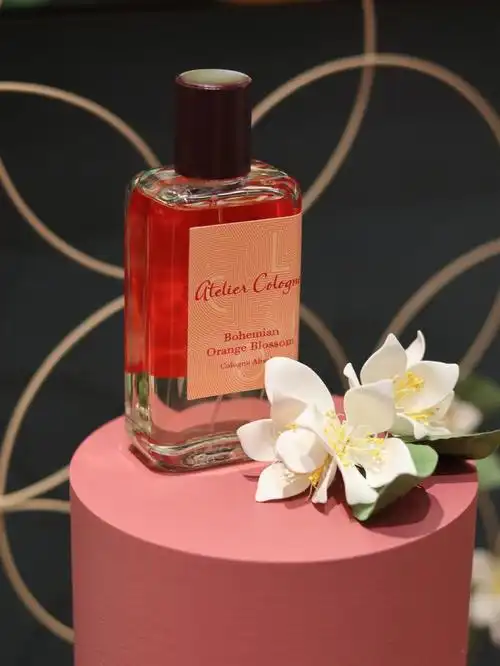 小众的花香橙花的花语我也非常喜欢"新娘的喜悦"7815-据说这支香