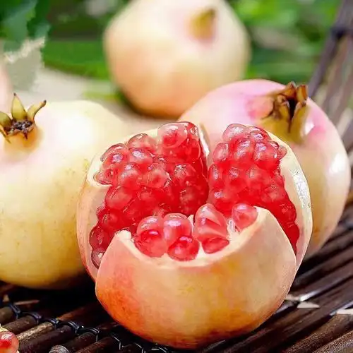 又大又红又甜的蒙自甜石榴