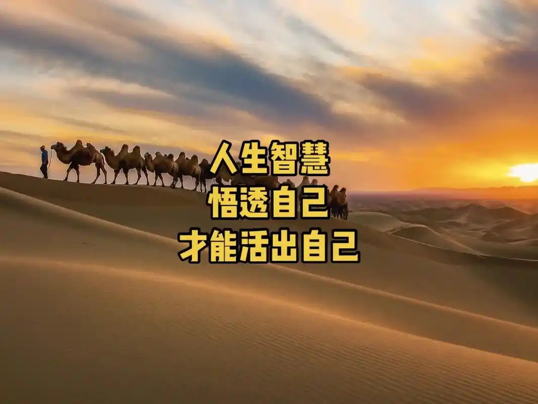 悟透自己 才能活出自己.老子说:"知人者智,自知者明."一个 - 抖音