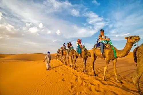 :行走在沙漠中的骆驼队