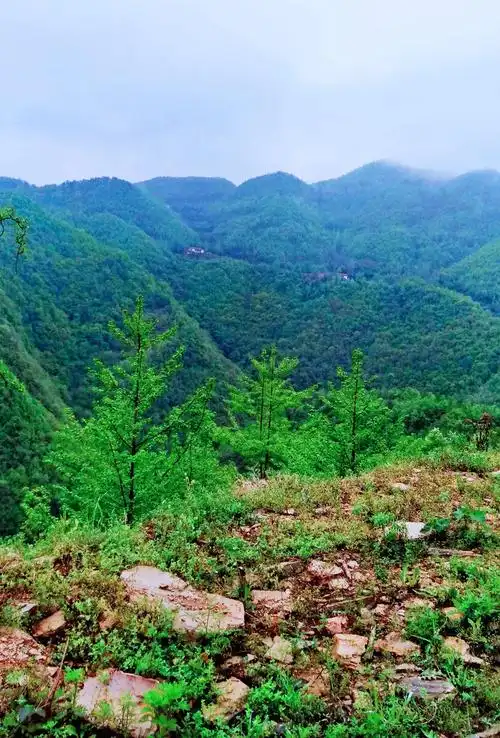 高山流水大山深处自然风景随拍78张