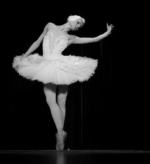 *****芭蕾中的精品之一-----经典单人跳*****