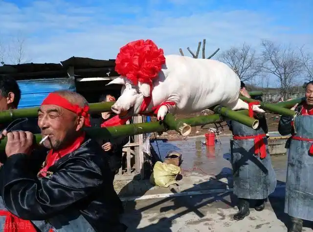 最强"杀猪令"下达,农民过年还能杀猪吗?