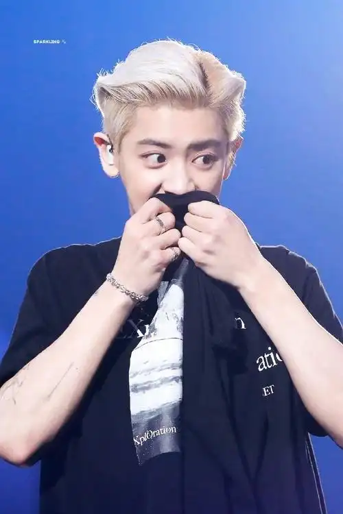 朴灿烈61次心动记录##朴灿烈生图