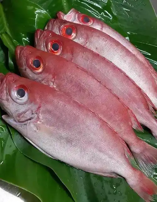 海南海鲜大全你认识吗