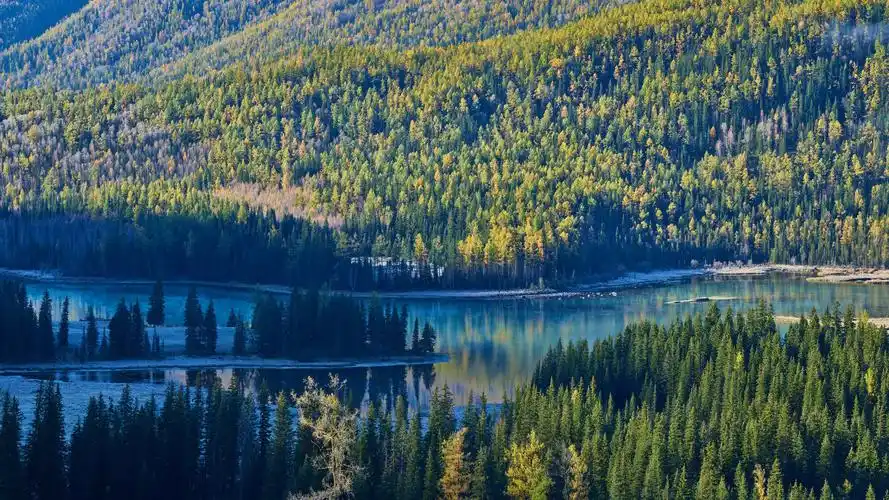 平板壁纸分享 - 华为 matepad 10.8资源分享 花粉俱乐部