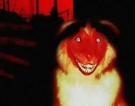 微笑狗恐怖事件死了多少人 究竟是怎么回事?