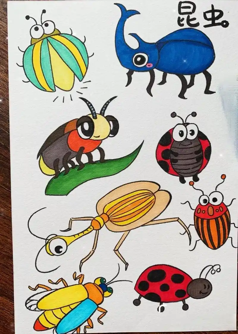 创作灵感 昆虫简笔画大全线稿来啦#图文伙伴 - 抖音