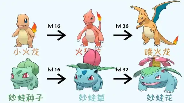 精灵宝可梦神奇宝贝的进化链