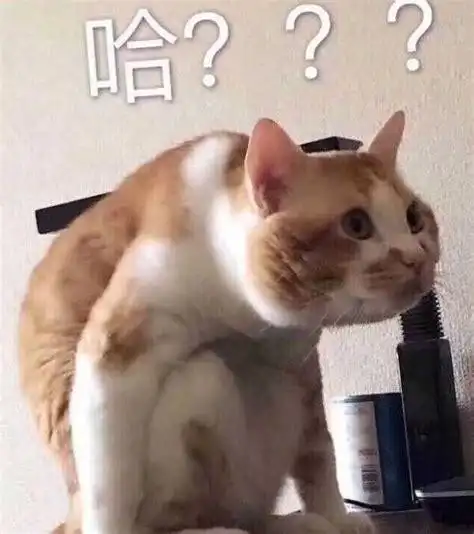 坐在地板上一只猫有个问号的表情包 三个问号表情包_动物表情 - 表情