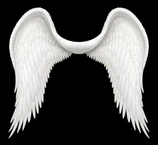 数码插画的天使的翅膀包括剪切路径它已准备好要复合成其他图像
