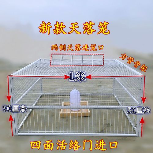 捕鸽神器加密天落笼只进不出撞门笼天落鸽子笼拼装撞门笼信鸽用品