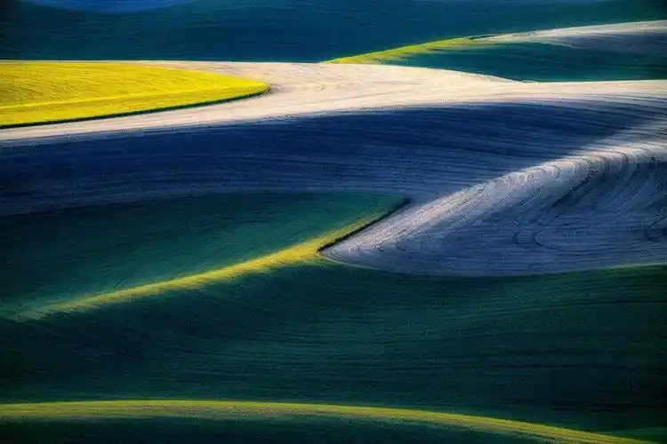 艺术与设计 - 自然界中的抽象美