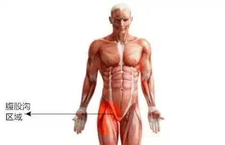 打开腹股沟你需要知道