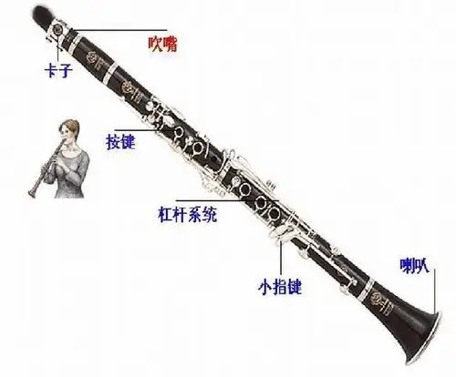 外形差异双簧管是最难吹奏的乐器之一.