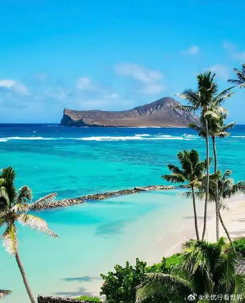 97探索火山国家公园  在夏威夷大岛,火山国家公园9015以其